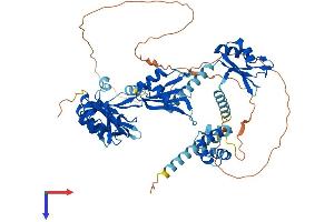 PABP Protein (AA 1-636) (His tag)