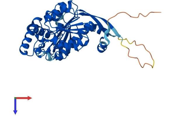 SAE1 Protein (AA 1-350) (His tag)
