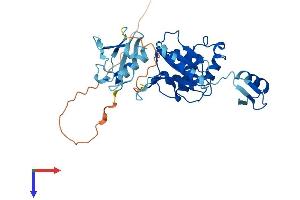 YOD1 Protein (AA 1-343) (His tag)