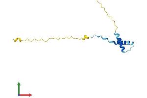 AlphaFold protein structure predicition of Human Recombinant HERVK_113 Protein, UniprotID P61574 (HERVK_113 (AA 1-105) protein (His tag))