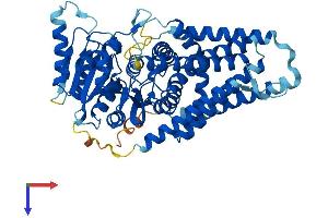 HAS3 Protein (AA 1-554) (His tag)