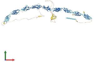 Protein Structure (PS) image for Fibronectin Type III Domain Containing 3A (FNDC3A) (AA 1-1198) protein (His tag) (ABIN7553956)