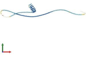 AlphaFold protein structure predicition of Human Recombinant LRRC45 Protein, UniprotID Q96CN5