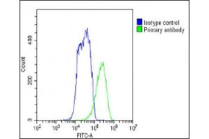 Overlay histogram showing HepG2 cells stained with A(green line). (FADS2 Antikörper  (N-Term))