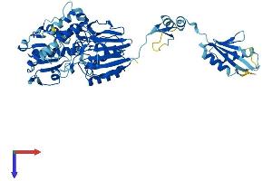 CPSF3L Protein (AA 1-600) (His tag)