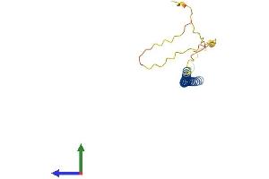 Protein Structure (PS) image for CCAAT/enhancer Binding Protein (C/EBP), gamma (CEBPG) (AA 1-150) protein (His tag) (ABIN7563432)