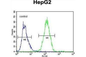 Flow Cytometry (FACS) image for anti-Growth Factor, Augmenter of Liver Regeneration (GFER) (AA 180-210), (C-Term) antibody (ABIN952717)