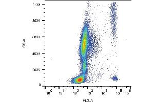 Flow cytometry analysis (surface staining) of CD193 in human peripheral blood with anti-human CD193 (5E8) PE. (CCR3 Antikörper  (PE))