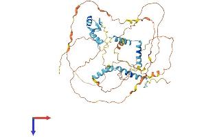 NUFIP1 Protein (AA 1-495) (His tag)