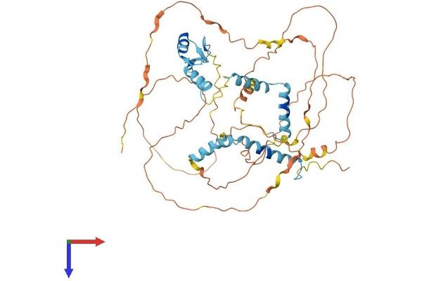 NUFIP1 Protein (AA 1-495) (His tag)