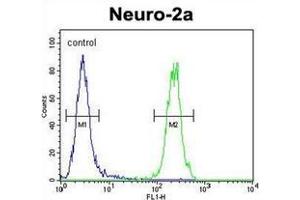 Flow cytometric analysis of Neuro-2a cells using MAF1 Antibody (Center) Cat.