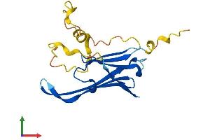 Protein Structure (PS) image for Heat Shock Protein, alpha-Crystallin-Related, B6 (HSPB6) (AA 1-160) protein (His tag) (ABIN7548434)