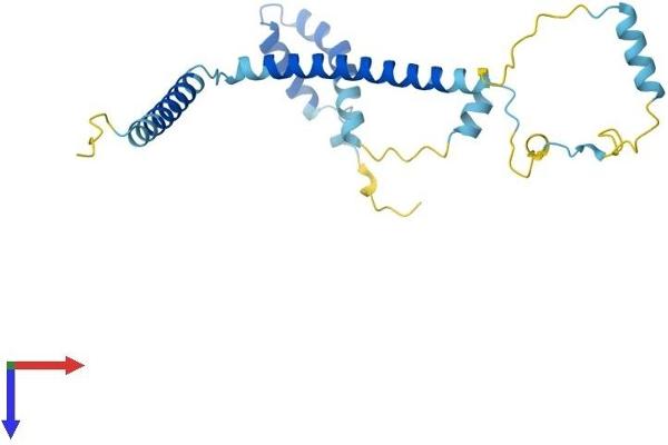 CCDC124 Protein (AA 1-217) (His tag)