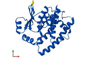 Protein Structure (PS) image for Glutathione S-Transferase alpha 4 (GSTA4) (AA 1-222) protein (His tag) (ABIN7548187)
