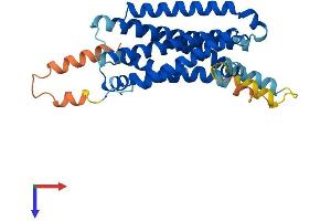 MC5 Receptor Protein (AA 1-325) (His tag)