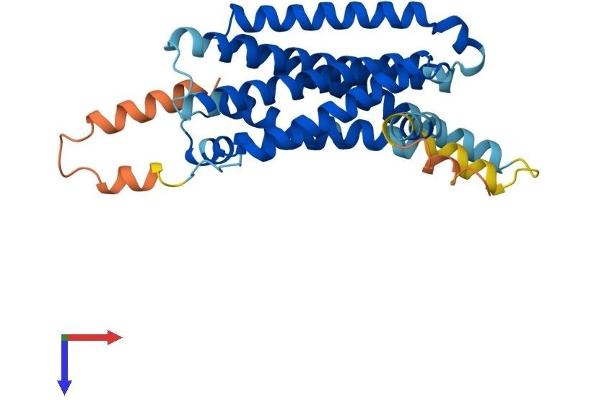 MC5 Receptor Protein (AA 1-325) (His tag)