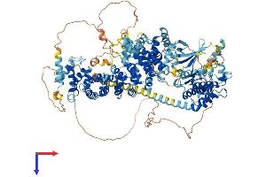 NIMA (Never in Mitosis Gene A)- Related Kinase 10 (NEK10) (AA 1-1111) protein (His tag)