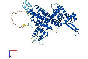 POLR3C Protein (AA 1-533) (His tag)