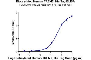 ELISA image for Triggering Receptor Expressed On Myeloid Cells 2 (TREM2) (AA 19-174) protein (His-Avi Tag,Biotin) (ABIN7275790)