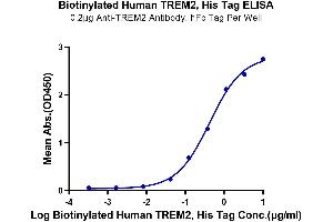 Immobilized Anti-TREM2 Antibody, hFc Tag at 2 μg/mL (100 μL/well) on the plate. (TREM2 Protein (His-Avi Tag,Biotin))