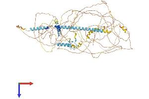 AlphaFold protein structure predicition of Human Recombinant ZC3H18 Protein, UniprotID Q86VM9
