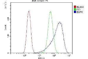 Flow Cytometry analysis of A549 cells using anti-EGFR antibody (ABIN7599622). (EGFR Antikörper  (AA 1006-1210))