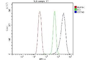 Flow Cytometry analysis of HEPA1-6 cells using anti-Gsta3 antibody (ABIN7603173).
