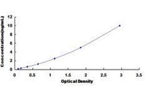 ELISA image for Platelet Derived Growth Factor Receptor alpha (PDGFRA) ELISA Kit (ABIN6720580)