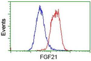 Flow cytometric Analysis of Hela cells, using anti-FGF21 antibody (ABIN2454535), (Red), compared to a nonspecific negative control antibody, (Blue). (FGF21 Antikörper  (AA 29-209))