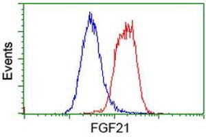 Flow cytometric Analysis of Hela cells, using anti-FGF21 antibody (ABIN2454535), (Red), compared to a nonspecific negative control antibody, (Blue). (FGF21 Antikörper  (AA 29-209))