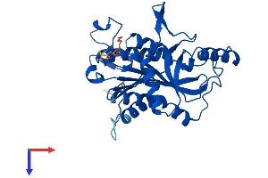 UPP1 Protein (AA 1-310) (His tag)