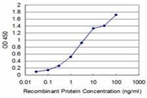 Detection limit for recombinant GST tagged BOLL is approximately 0. (BOLL Antikörper  (AA 185-283))