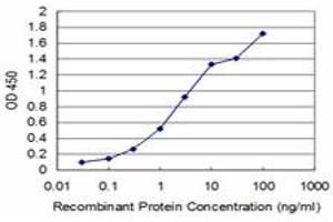 Detection limit for recombinant GST tagged BOLL is approximately 0.