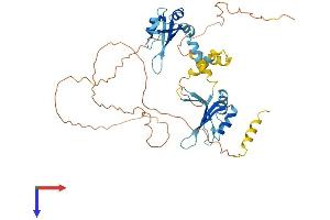 RBM23 Protein (AA 1-439) (His tag)
