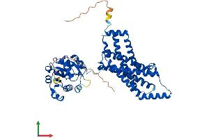 Protein Structure (PS) image for STEAP Family Member 2, Metalloreductase (STEAP2) (AA 1-489) protein (His tag) (ABIN7558956)