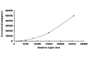 Typical standard curve