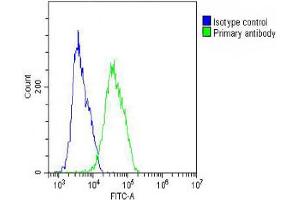 Overlay histogram showing MCF-7 cells stained with Antibody (green line). (CES2 Antikörper  (AA 340-369))