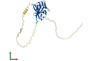 AlphaFold protein structure predicition of Mouse Recombinant Fgf14 Protein, UniprotID P70379