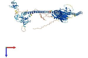 Midline 2 Protein (MID2) (AA 1-735) (His tag)