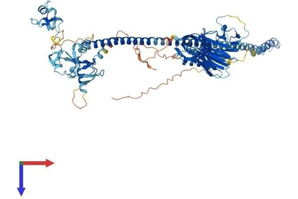 Midline 2 Protein (MID2) (AA 1-735) (His tag)