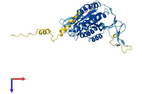 GTF2H2 Protein (AA 1-396) (His tag)