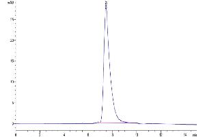 Size-exclusion chromatography-High Pressure Liquid Chromatography (SEC-HPLC) image for Dickkopf Homolog 1 (DKK1) (AA 32-142), (N-Term) protein (Fc-Avi Tag) (ABIN7274472)
