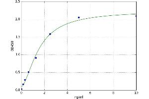 Procollagen, Type III ELISA Kit