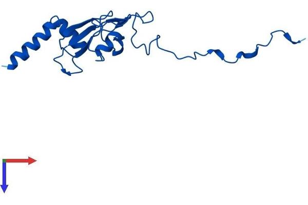 NDUFA12 Protein (AA 1-145) (His tag)