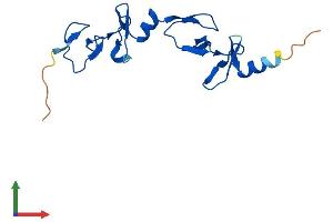 Protein Structure (PS) image for LIM Domain Only 3 (Rhombotin-Like 2) (LMO3) (AA 1-145) protein (His tag) (ABIN7559049)