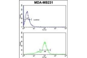 ACR Antibody (Center) (ABIN653022 and ABIN2842644) flow cytometric analysis of MDA-M cells (bottom histogram) compared to a negative control cell (top histogram). (Acrosin Antikörper  (AA 99-127))