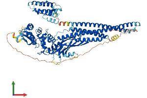 AlphaFold protein structure predicition of Mouse Recombinant Stat5a Protein, UniprotID P42230
