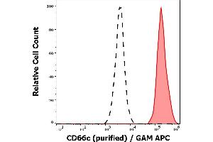 Separation of neutrophil granulocytes stained anti-human CD66c (B6.
