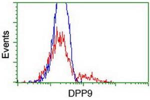 HEK293T cells transfected with either RC224465 overexpress plasmid (Red) or empty vector control plasmid (Blue) were immunostained by anti-DPP9 antibody (ABIN2455388), and then analyzed by flow cytometry. (DPP9 Antikörper)