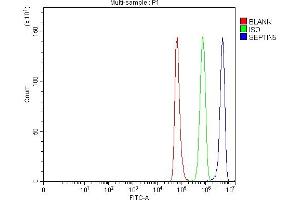 Flow Cytometry analysis of NRK cells using anti-SEPT5/SEPTIN5 antibody (ABIN7602924). (Septin 5 Antikörper  (C-Term))